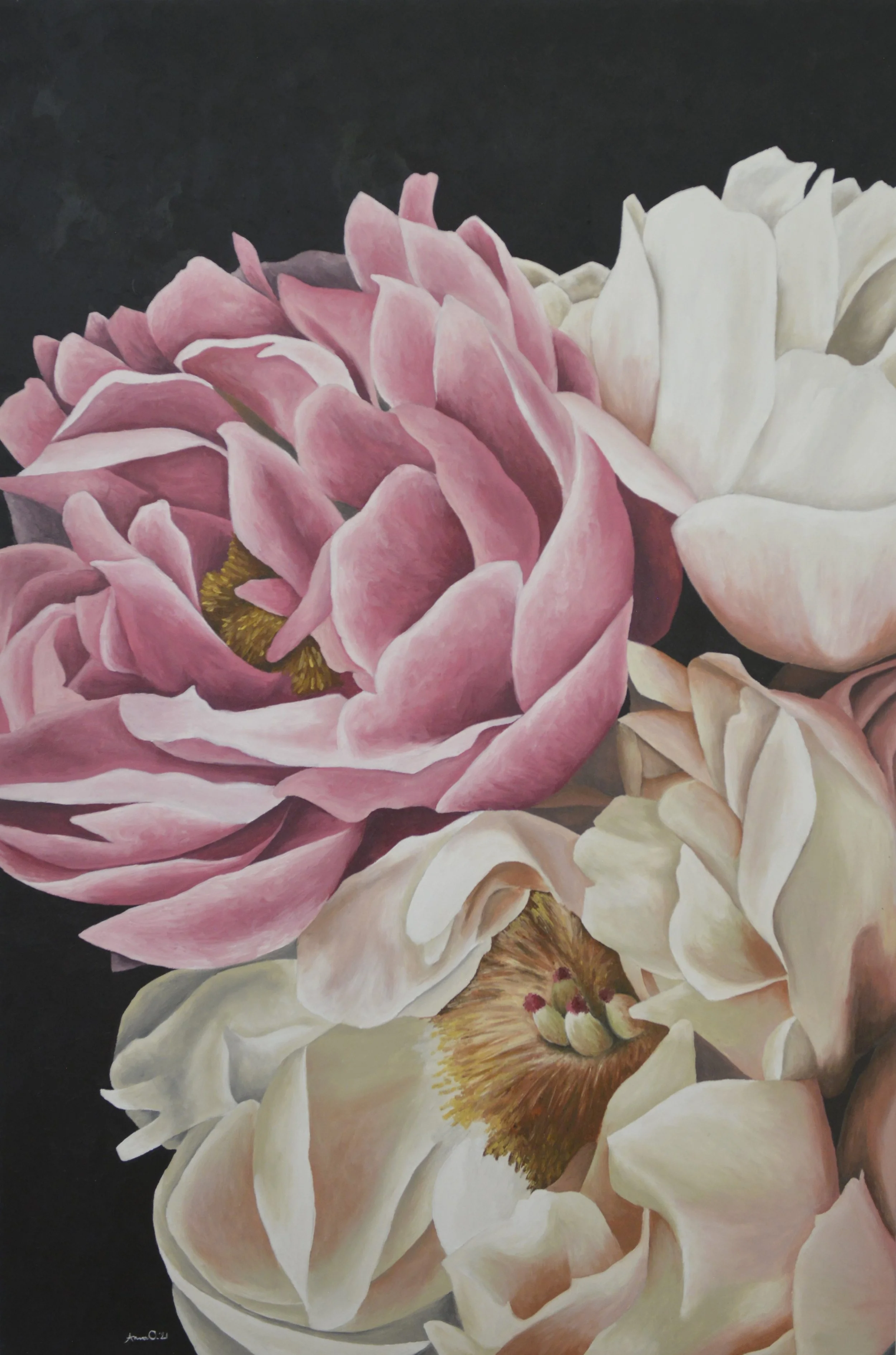 Dramatic Peony #5