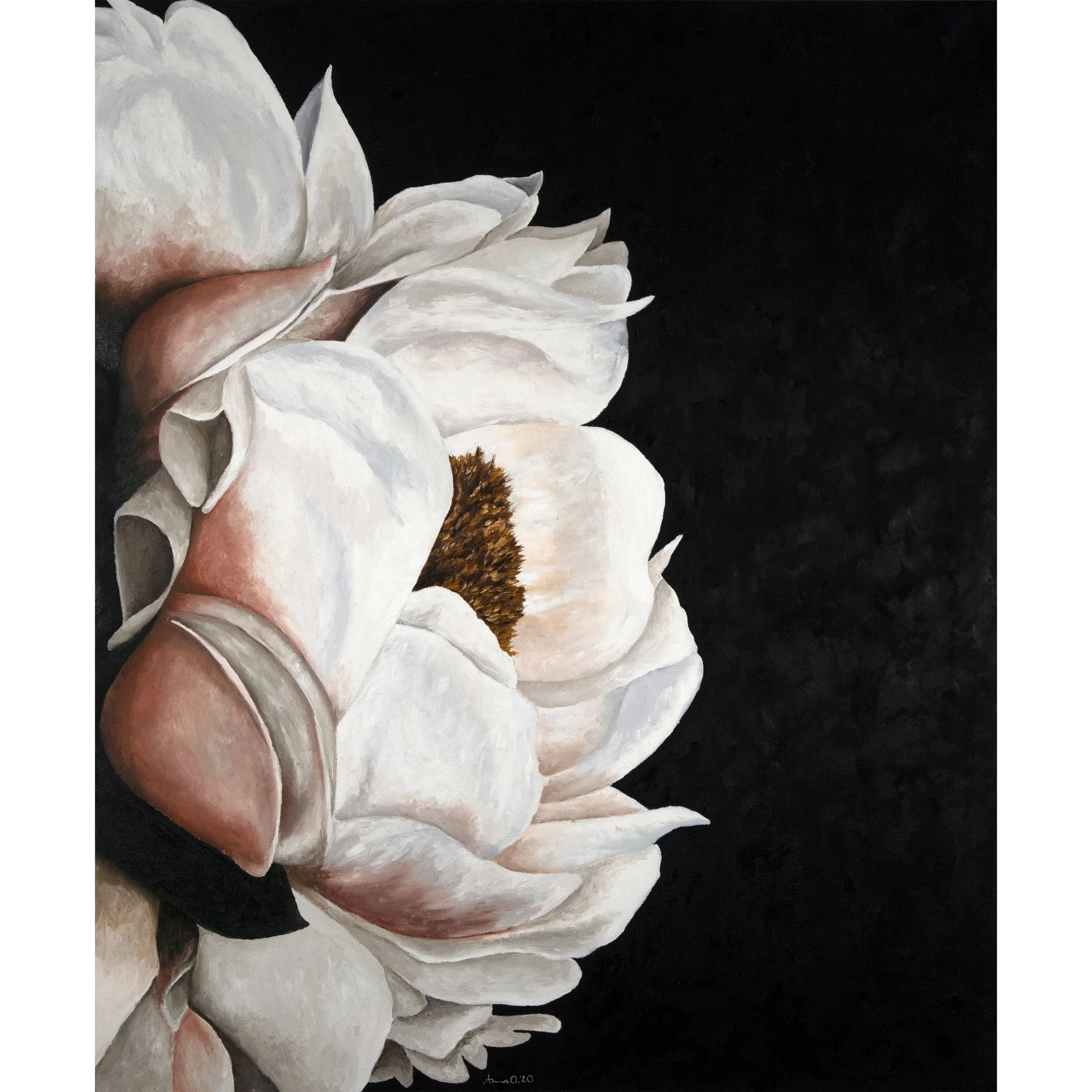 Dramatic Peony 1 Square.jpg