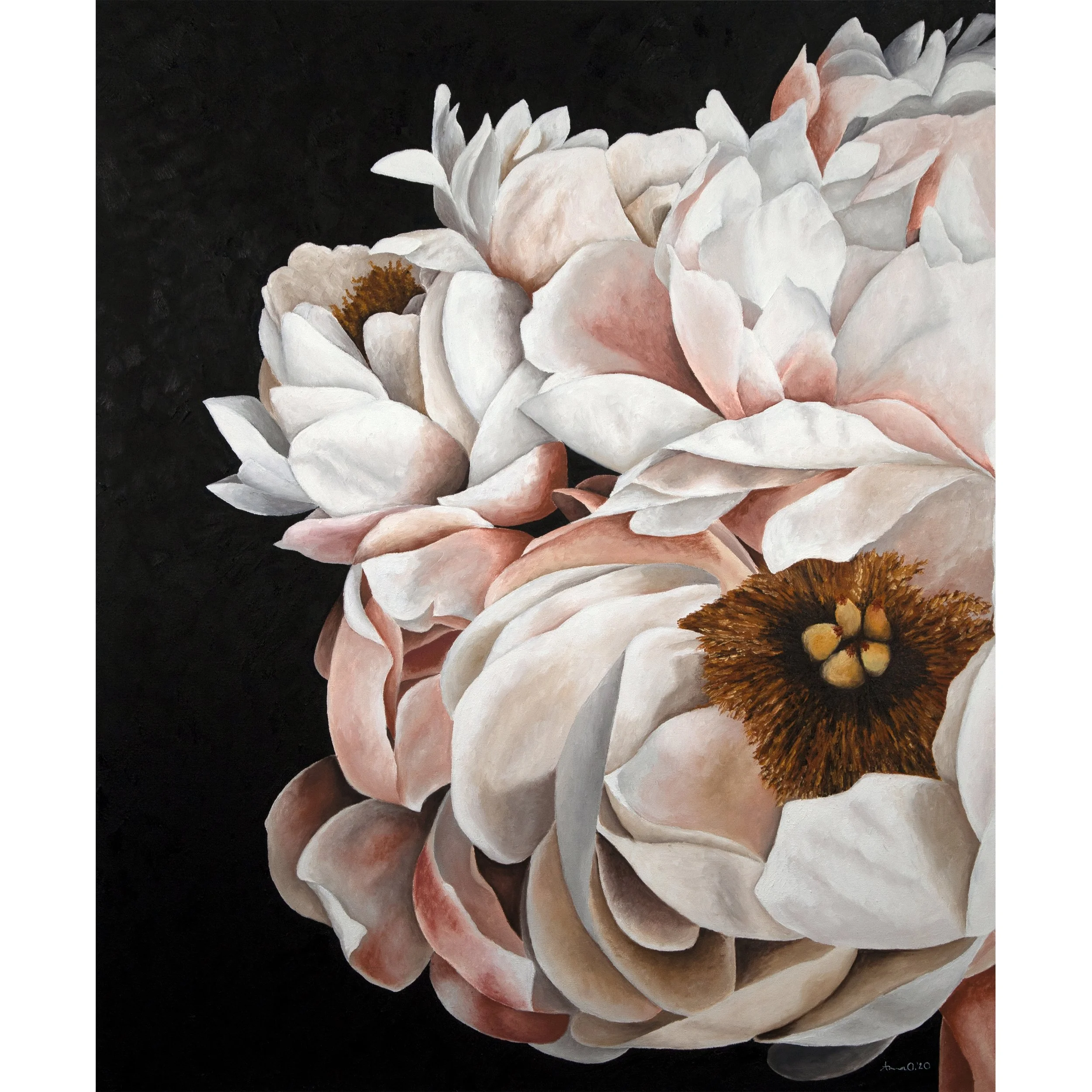 Dramatic Peony 2 Square.jpg