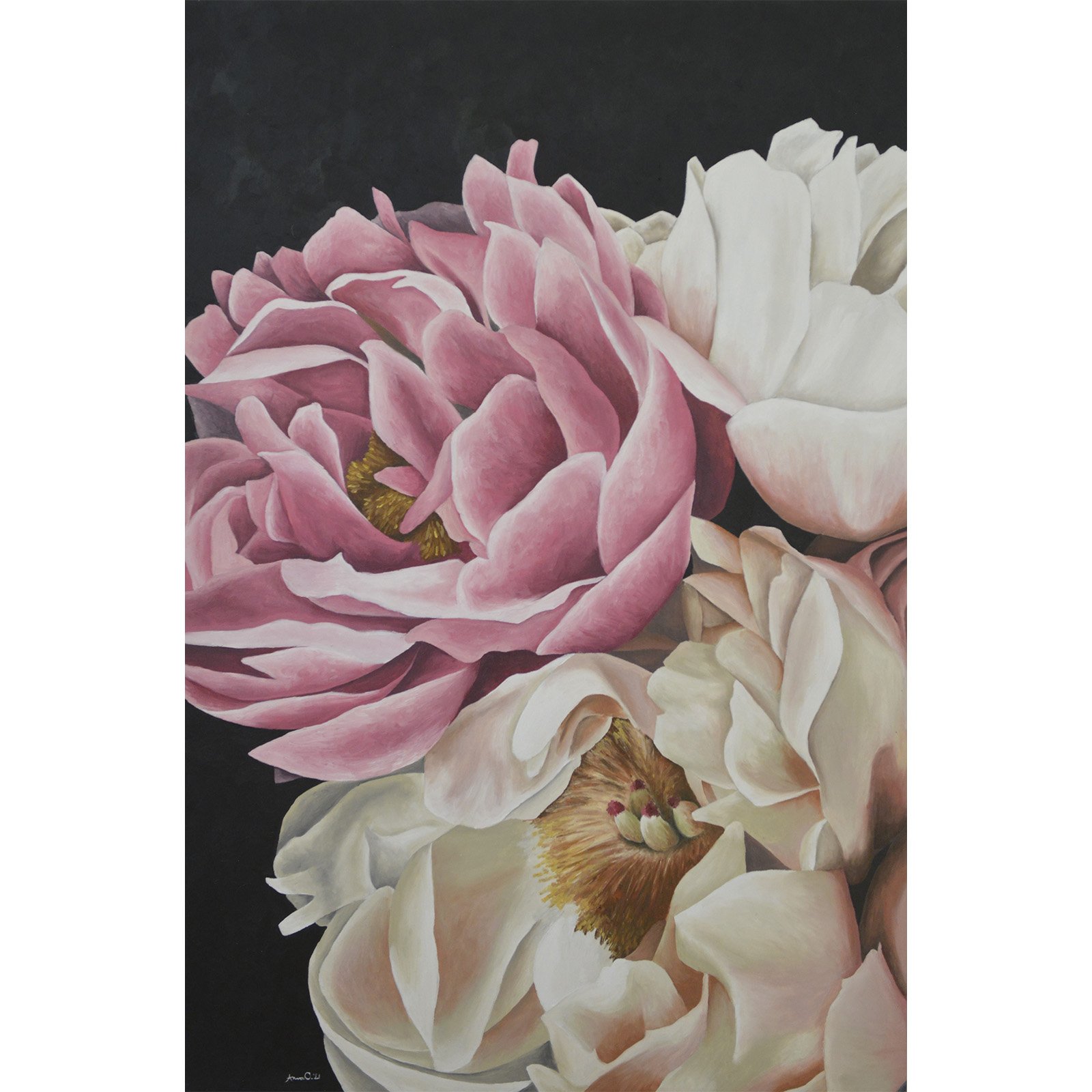 Dramatic Peony 5.jpg