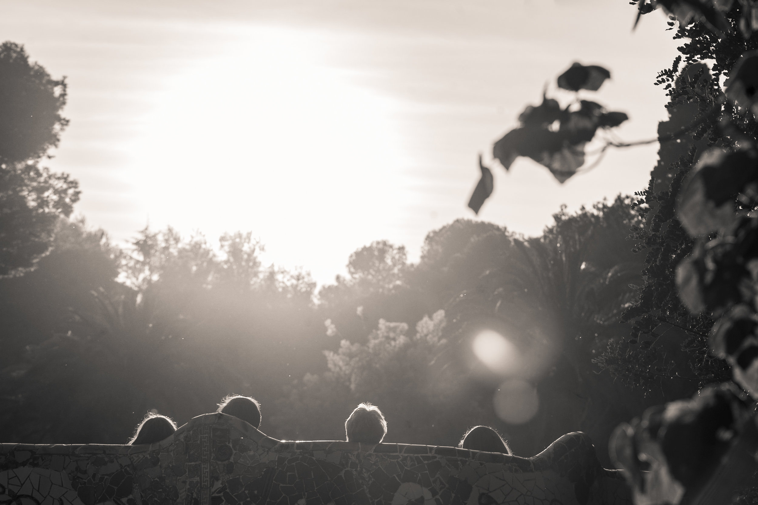 untitled (3889 of 8484).jpg