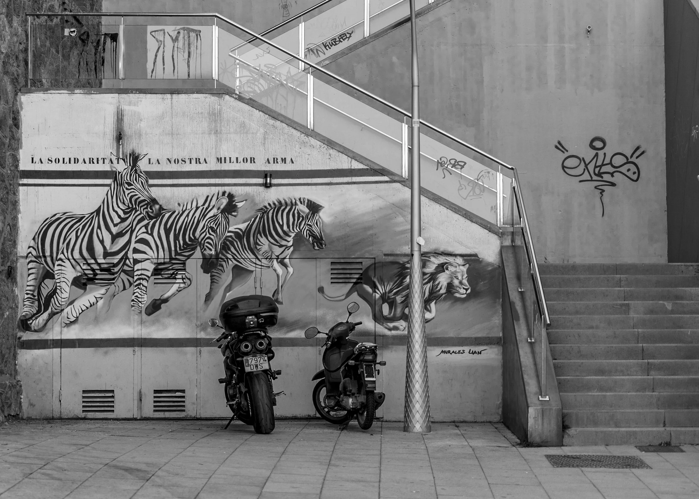 untitled (4002 of 8484).jpg