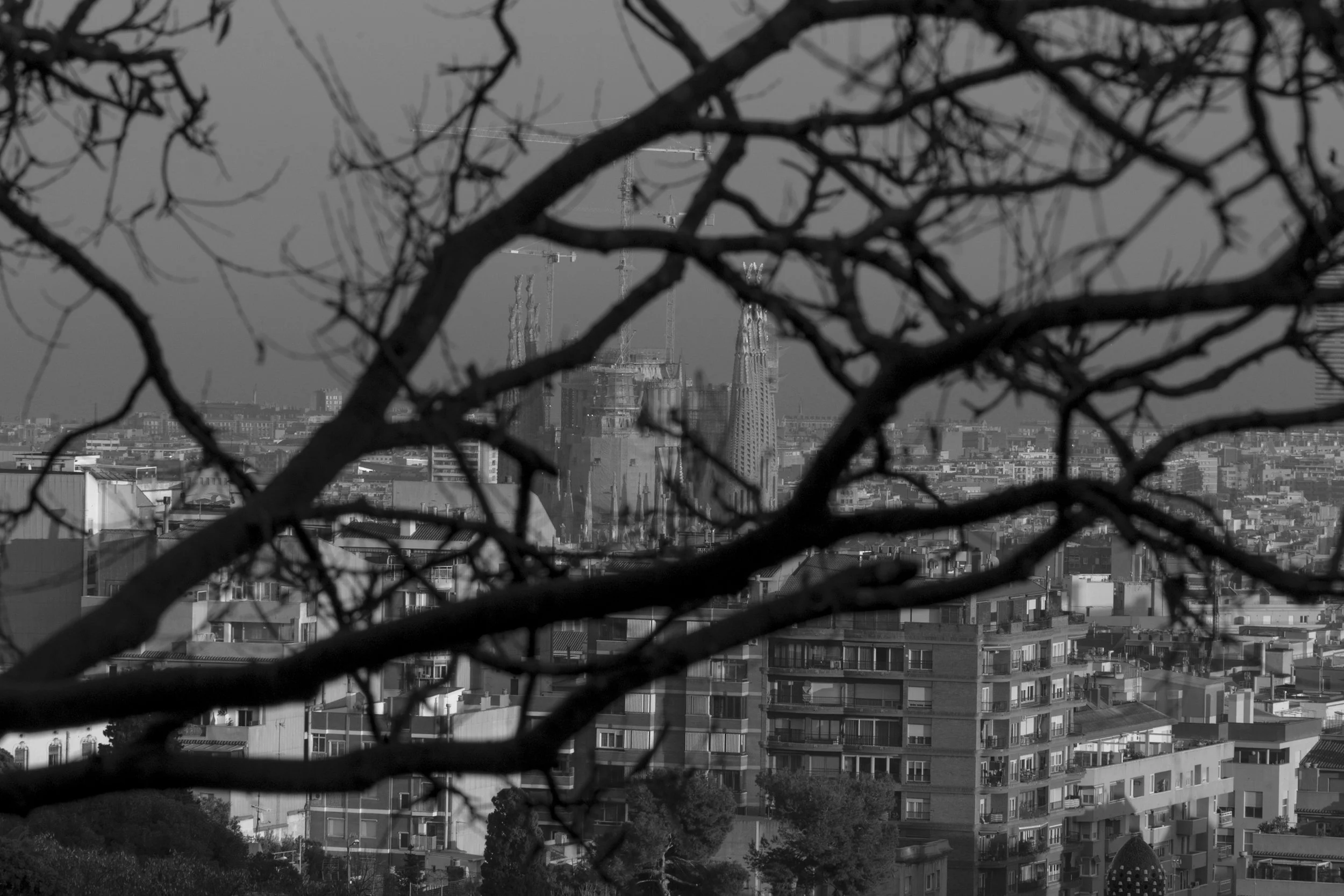 untitled (3970 of 8484).jpg