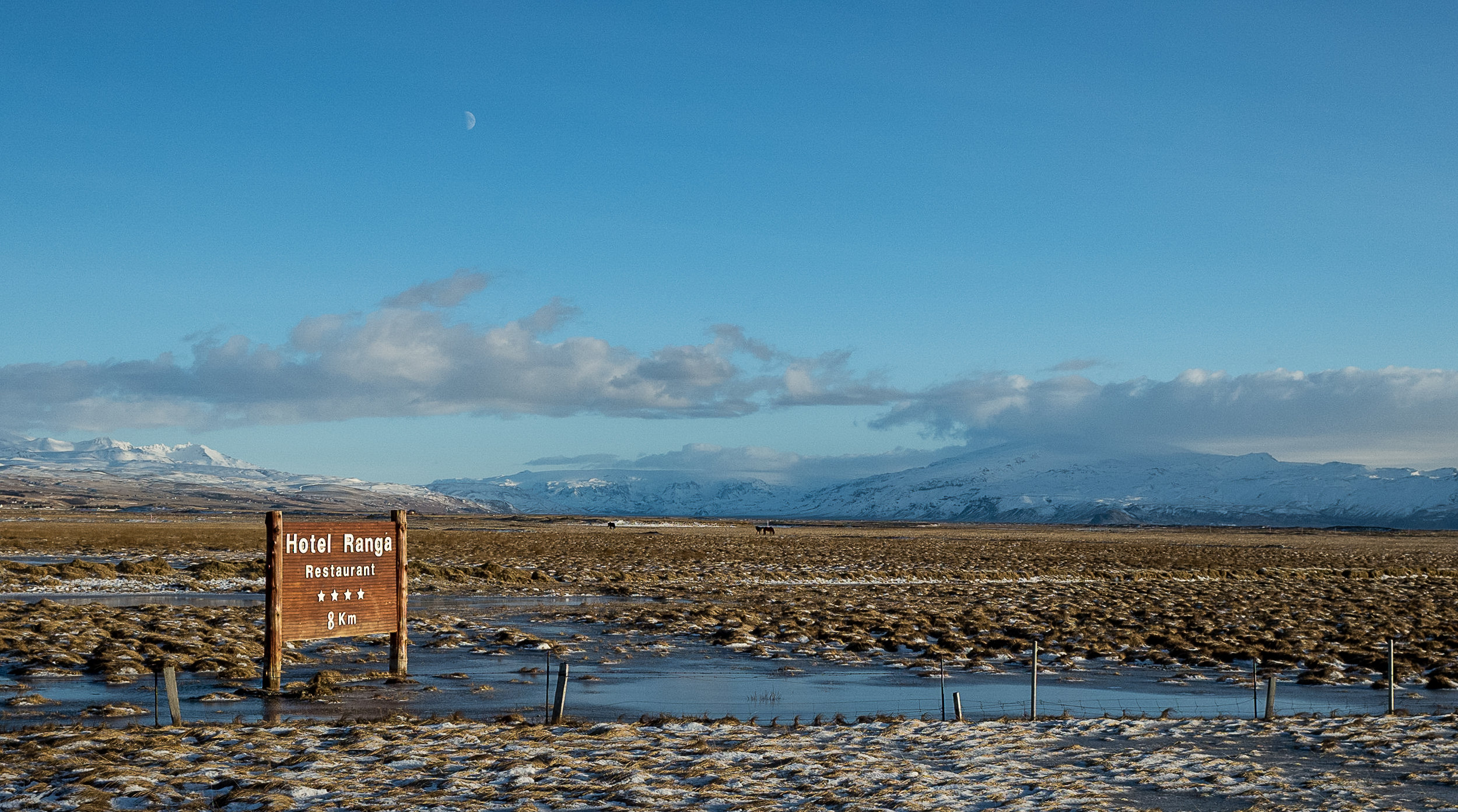 2018 (28 of 321).jpg