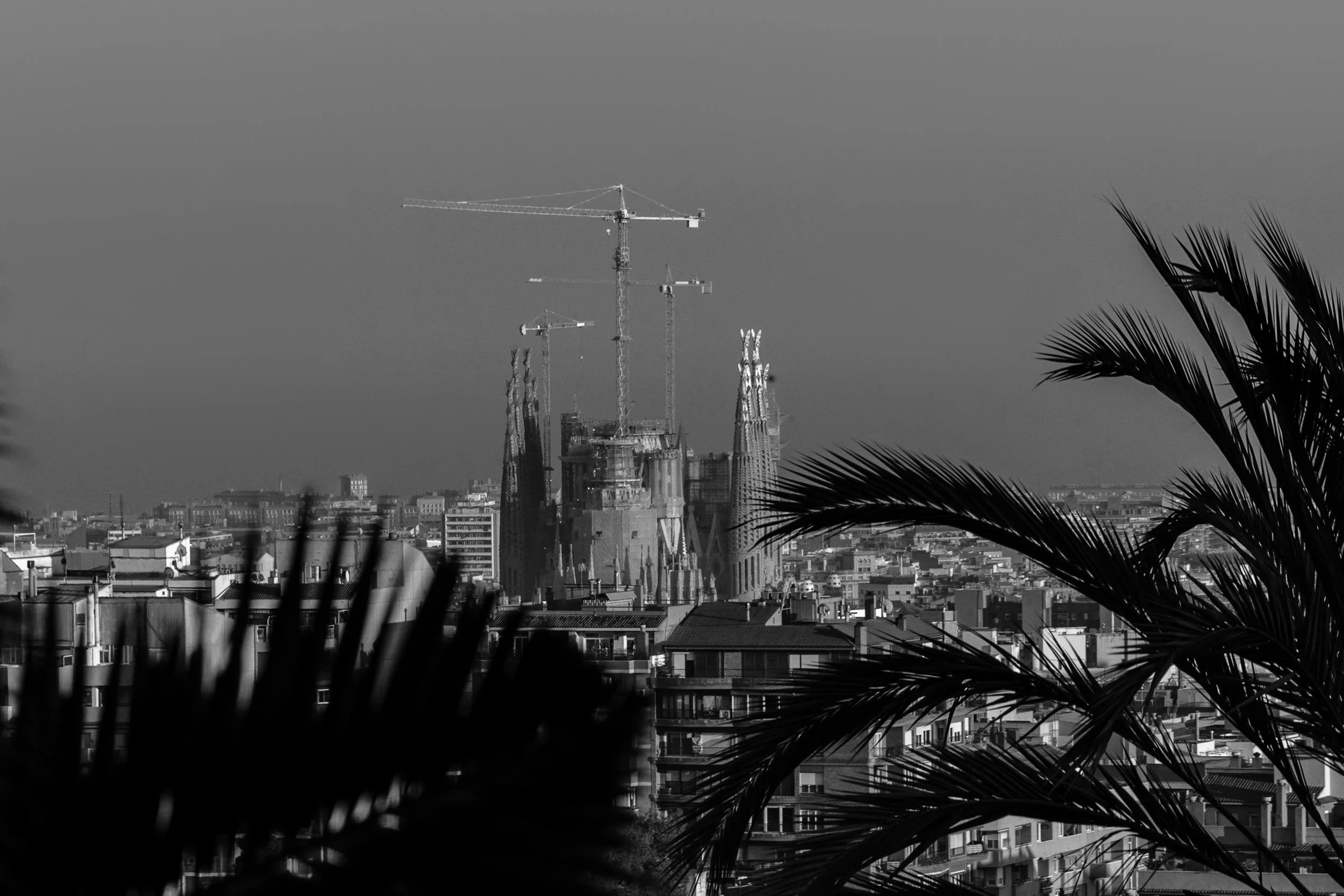 untitled (3945 of 8484)-2.jpg