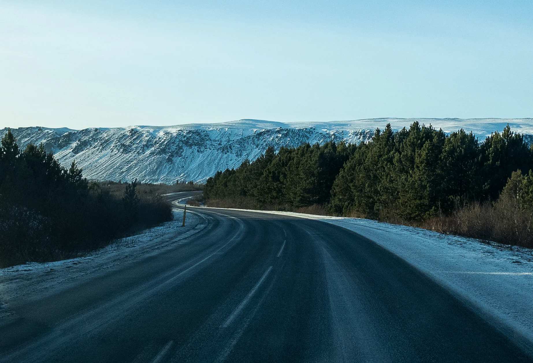 2018 (24 of 321).jpg