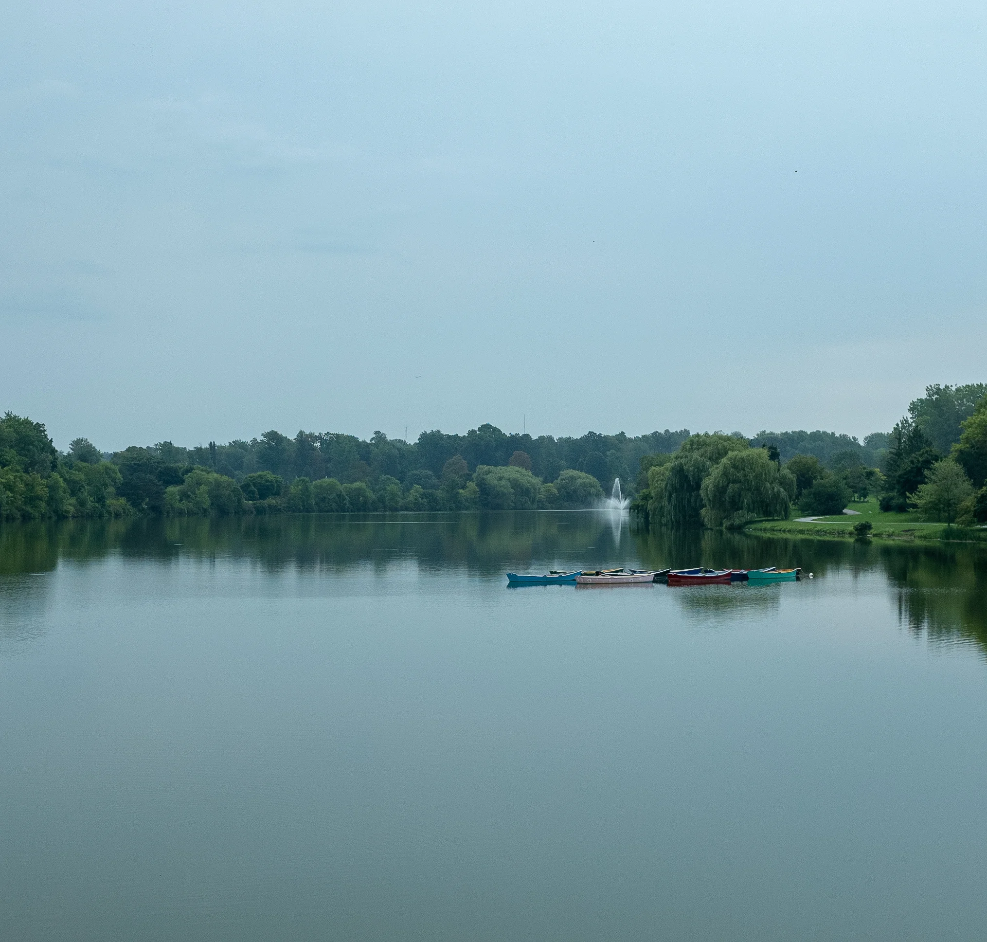 R0090187.jpg