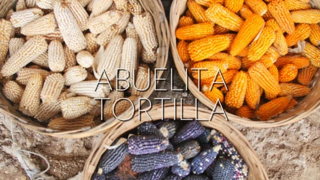 Abuelita Tortilla Teaser