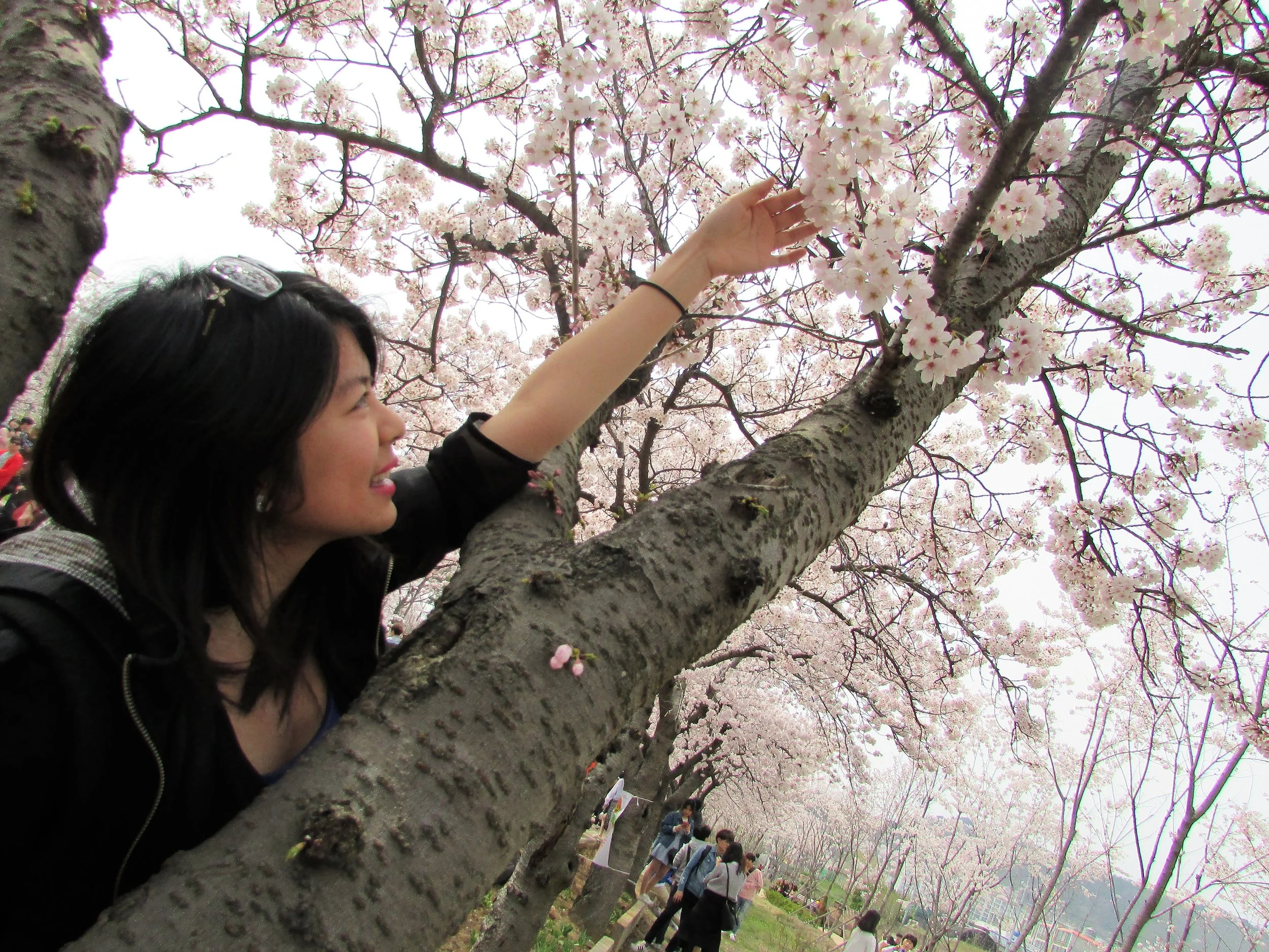 Making An Impact By Sharing Across Cultures