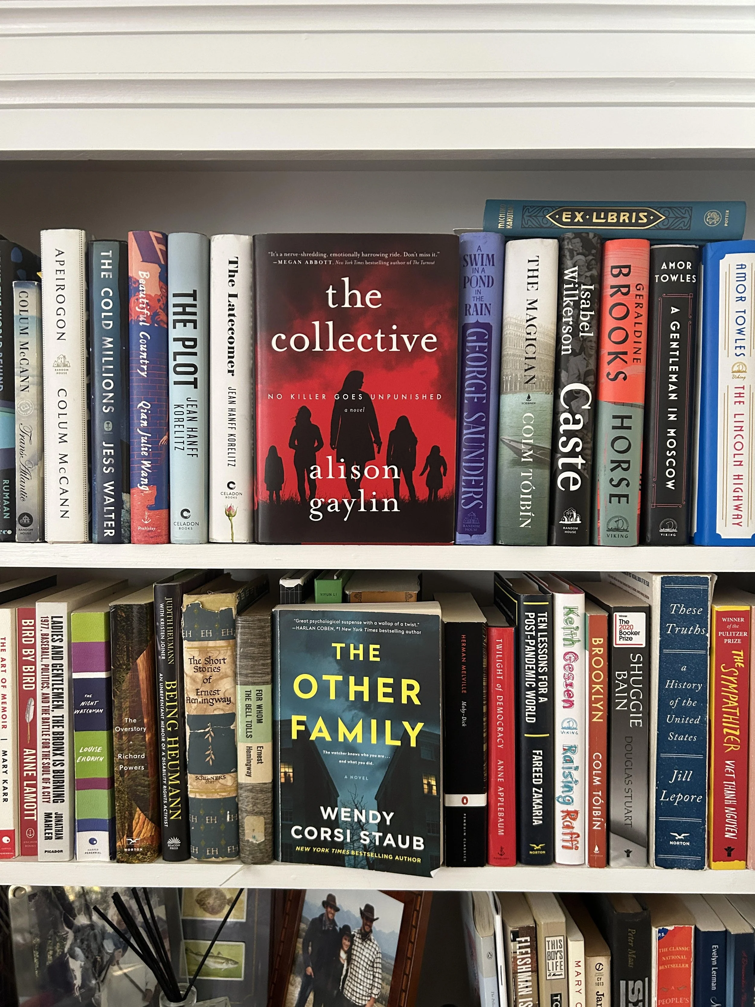 Tell Me What You're Reading #41: Alison Gaylin/ Wendy Corsi Staub - domestic psychological thrillers, etc.