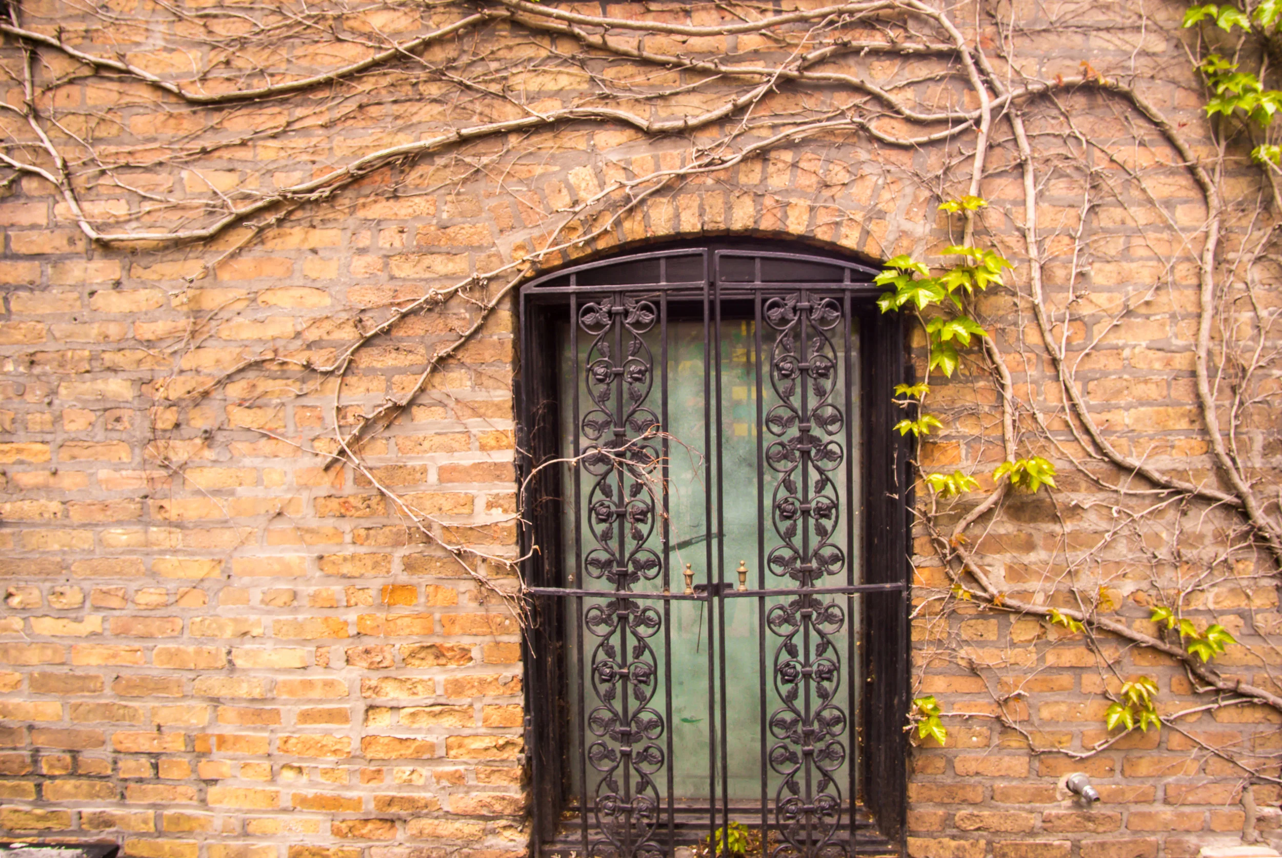 AYH Photo Website-21.jpg