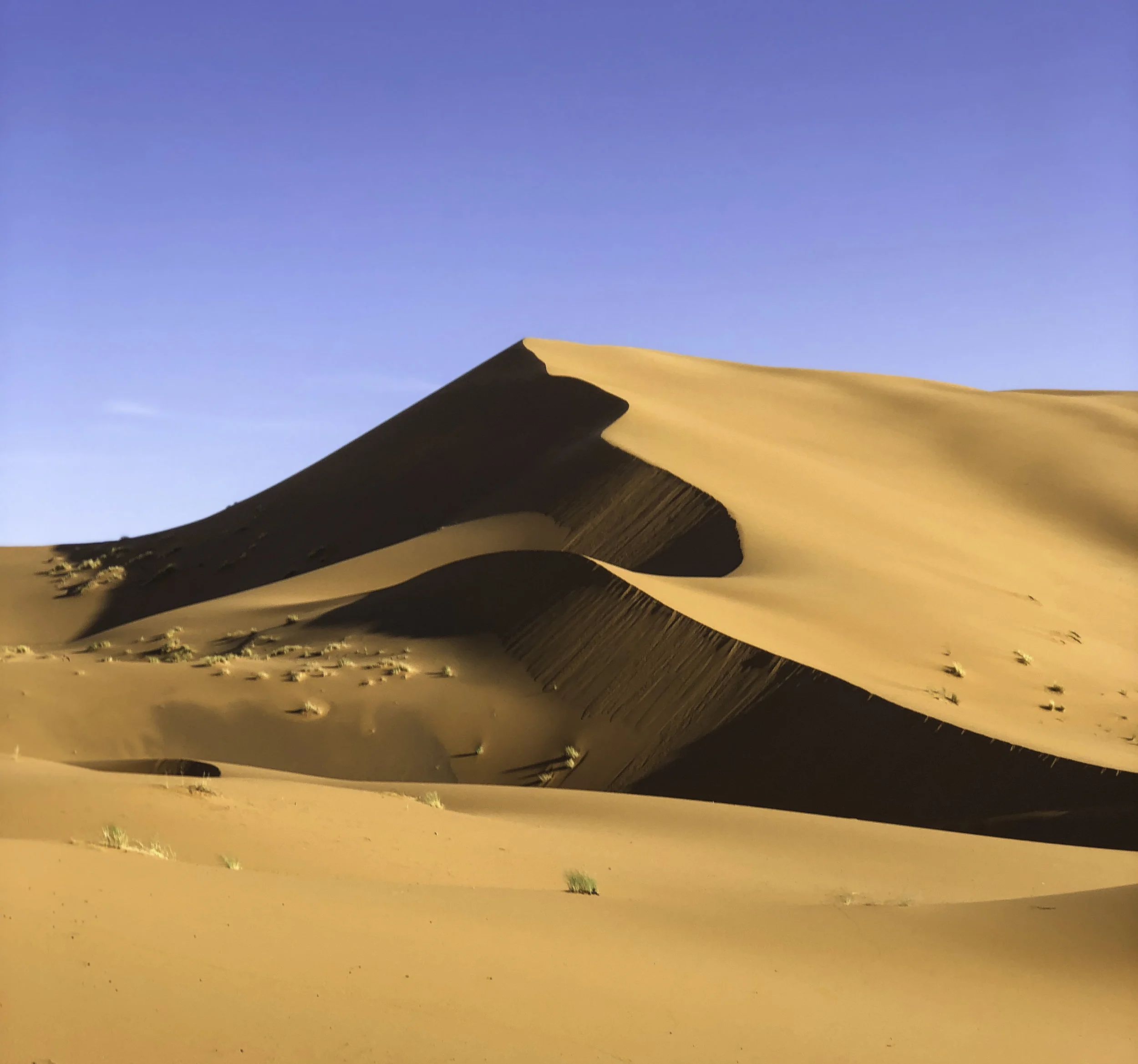 Desert Series-4.jpg