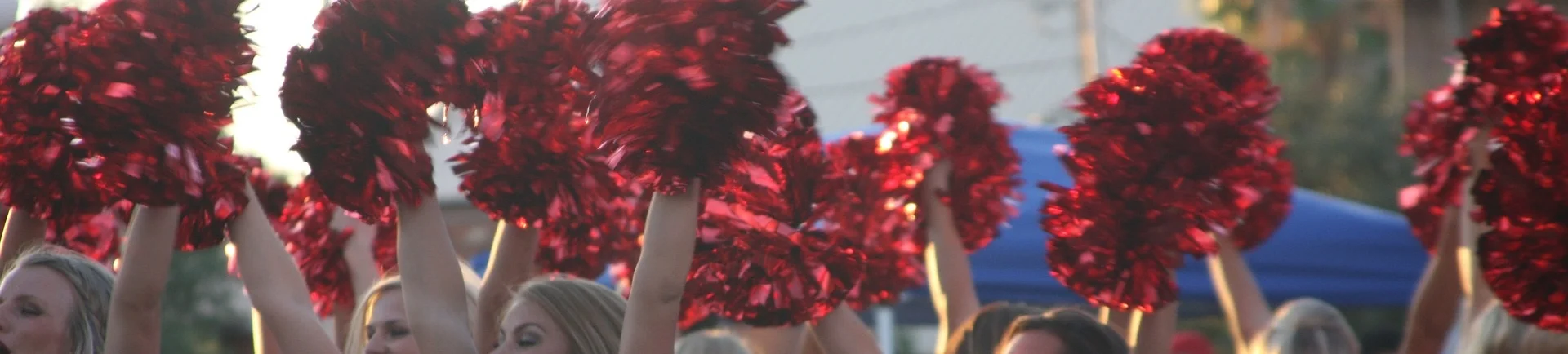 cheer-610691_1920.jpg