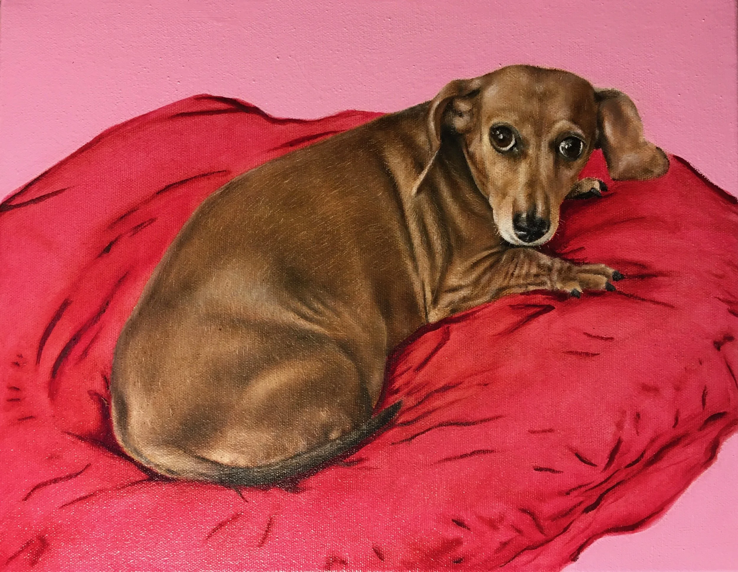 Portrait of Sweet-n-Low