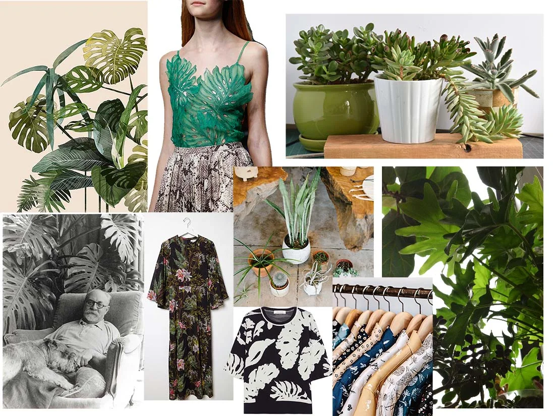 HouseplantmoodBoard.jpg