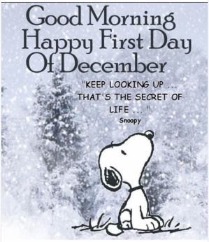 happydecember.jpg