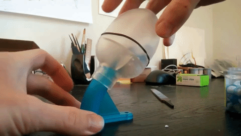 giphy.gif