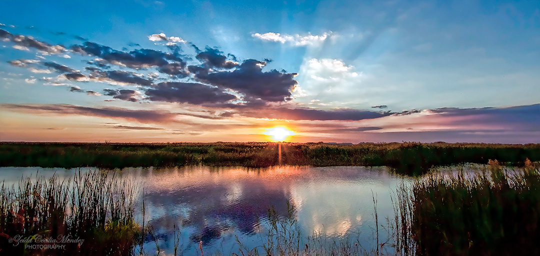 Days End Everglades