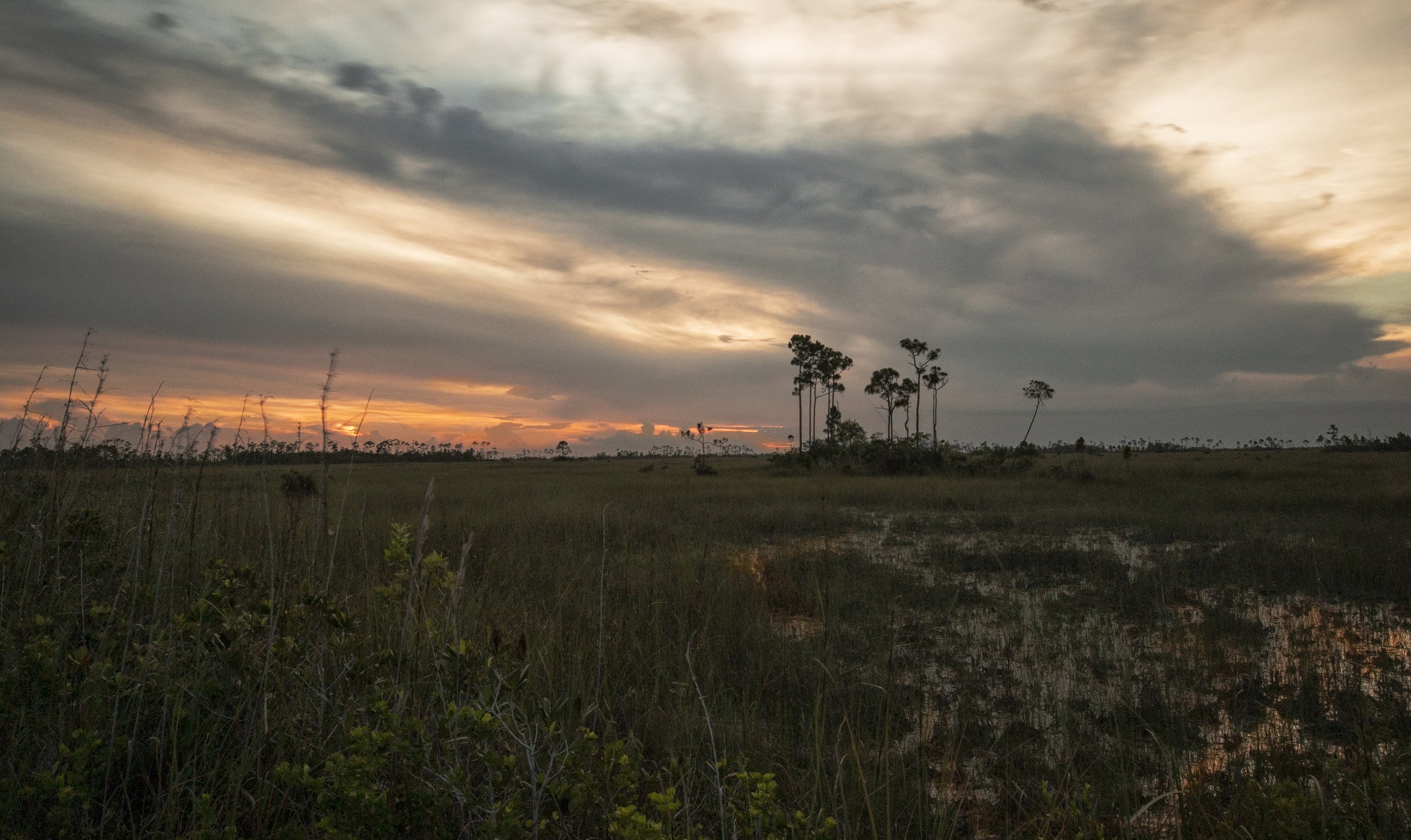 Sunset in the Everglades, FL