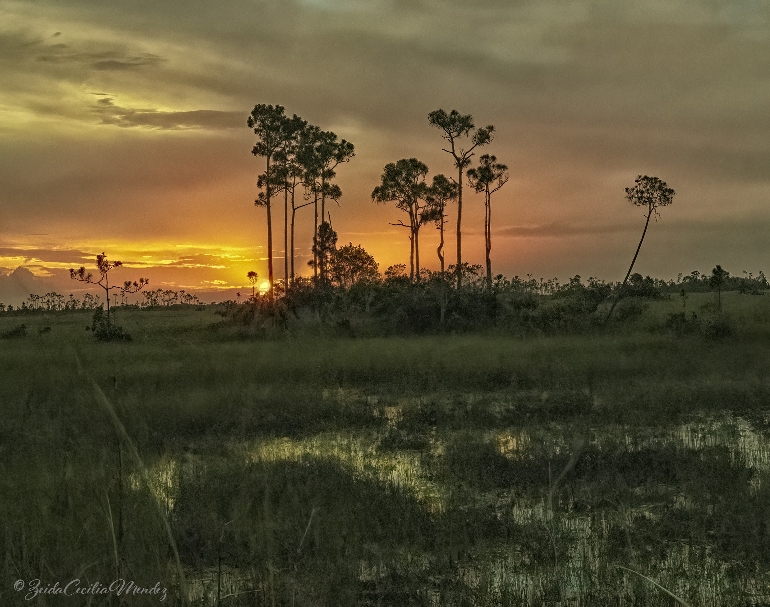 Big Cypress Sunset, Everglades