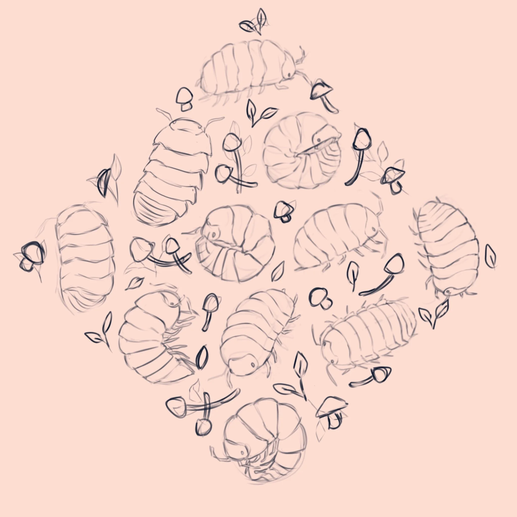 Untitled_Artwork 4.jpg