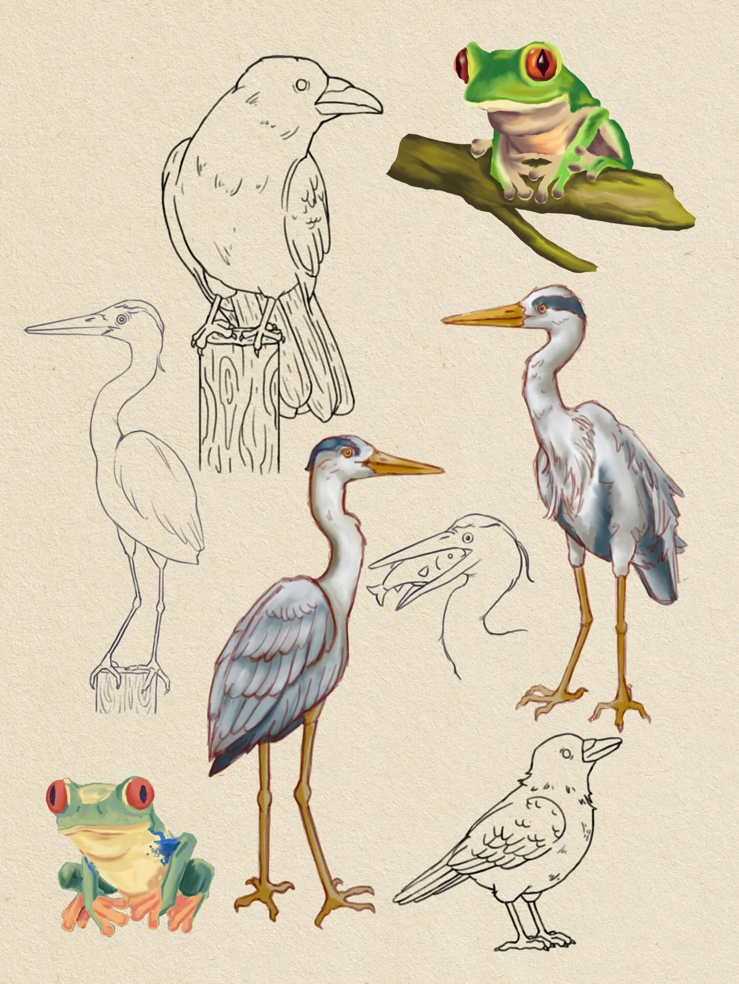 Digital drawing has been one of my toughest challenges as an artist, especially when it comes to coloring and rendering. 
Here&rsquo;s some of my favorite sketches and color studies I&rsquo;ve done over the past couple weeks! 
.
.
.
.
.
.
.
.
.
#digi