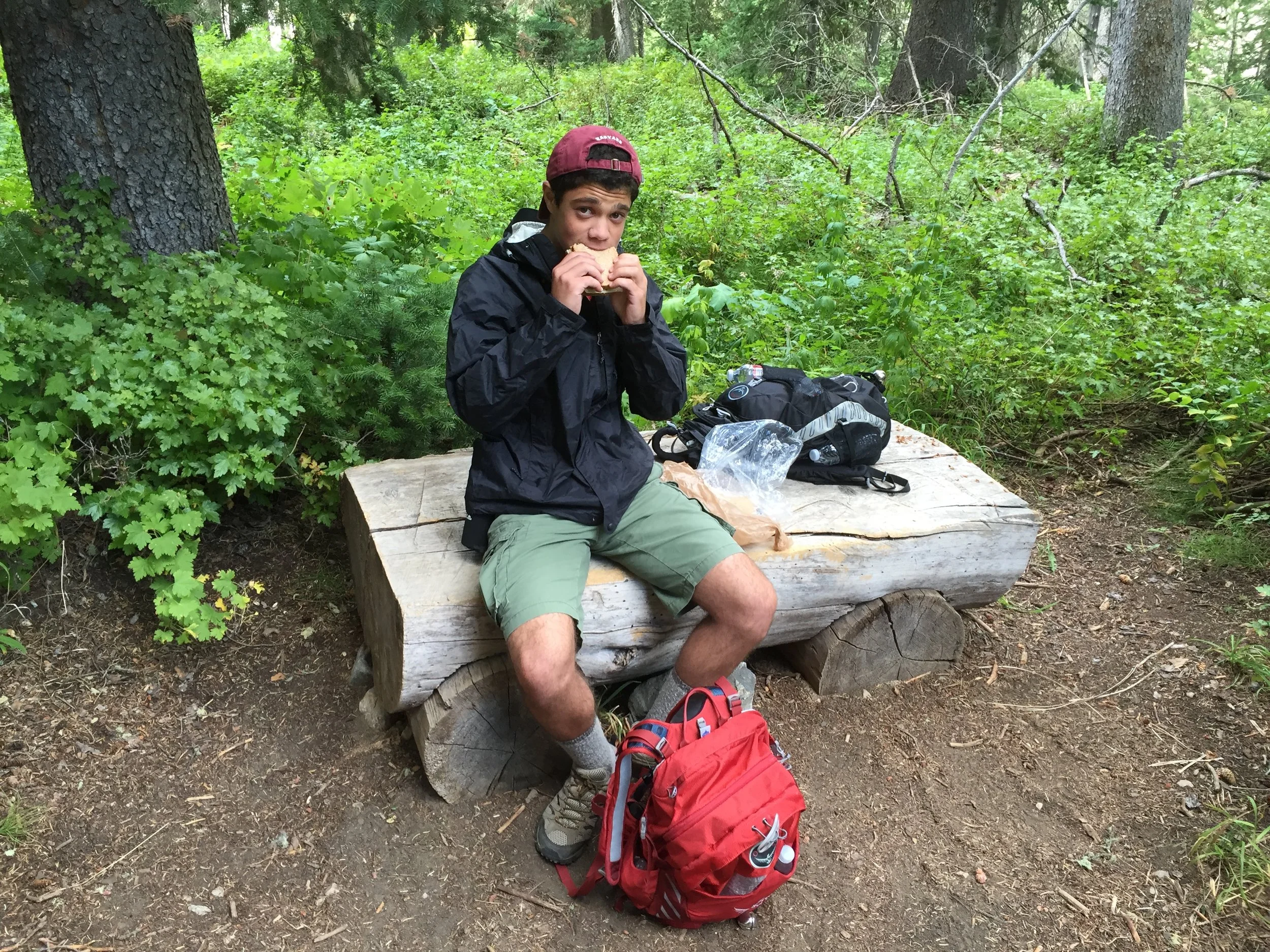 Adam “Damski” Wrobel ‘19Director EmeritusA month after finishing his cheese sandwich (pictured), Adam received the shocking news that he was lactose intolerant. Mourning the loss of pizza and ice cream, Adam turned to unconventional percussion to fi…