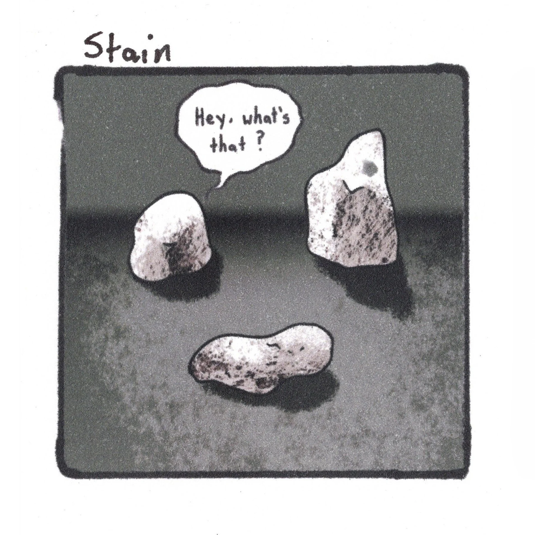 9.10.23 Stain final export.jpeg