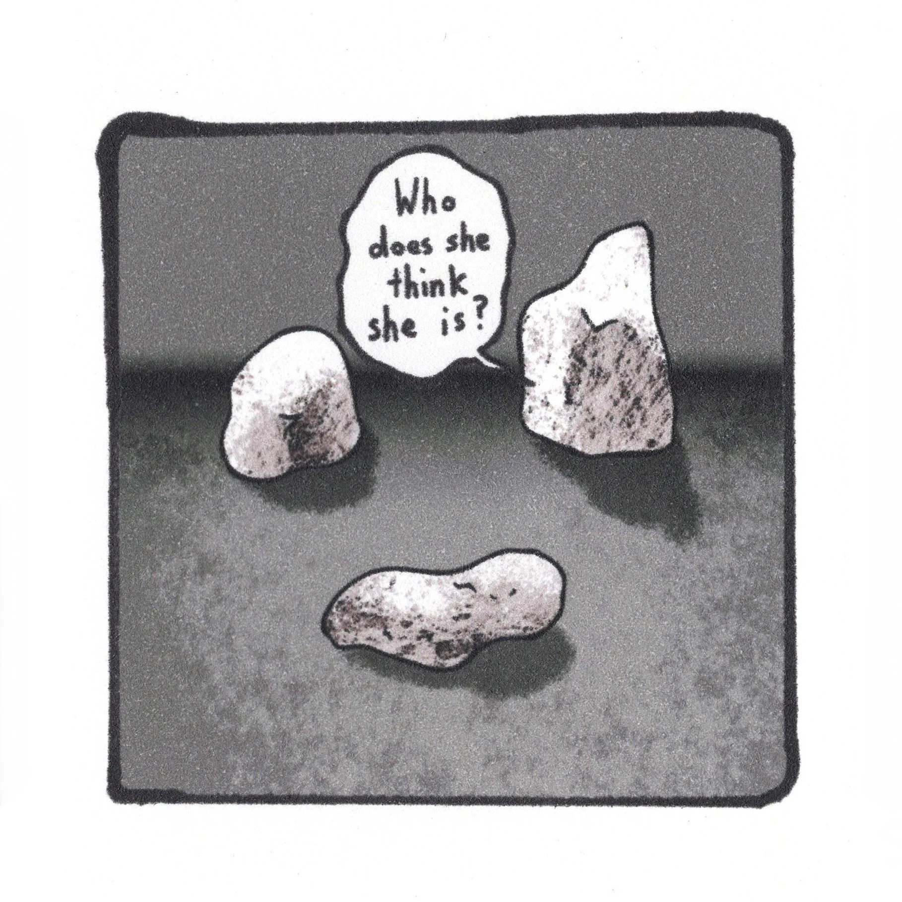 11.19.23 Plymouth Rock.jpeg