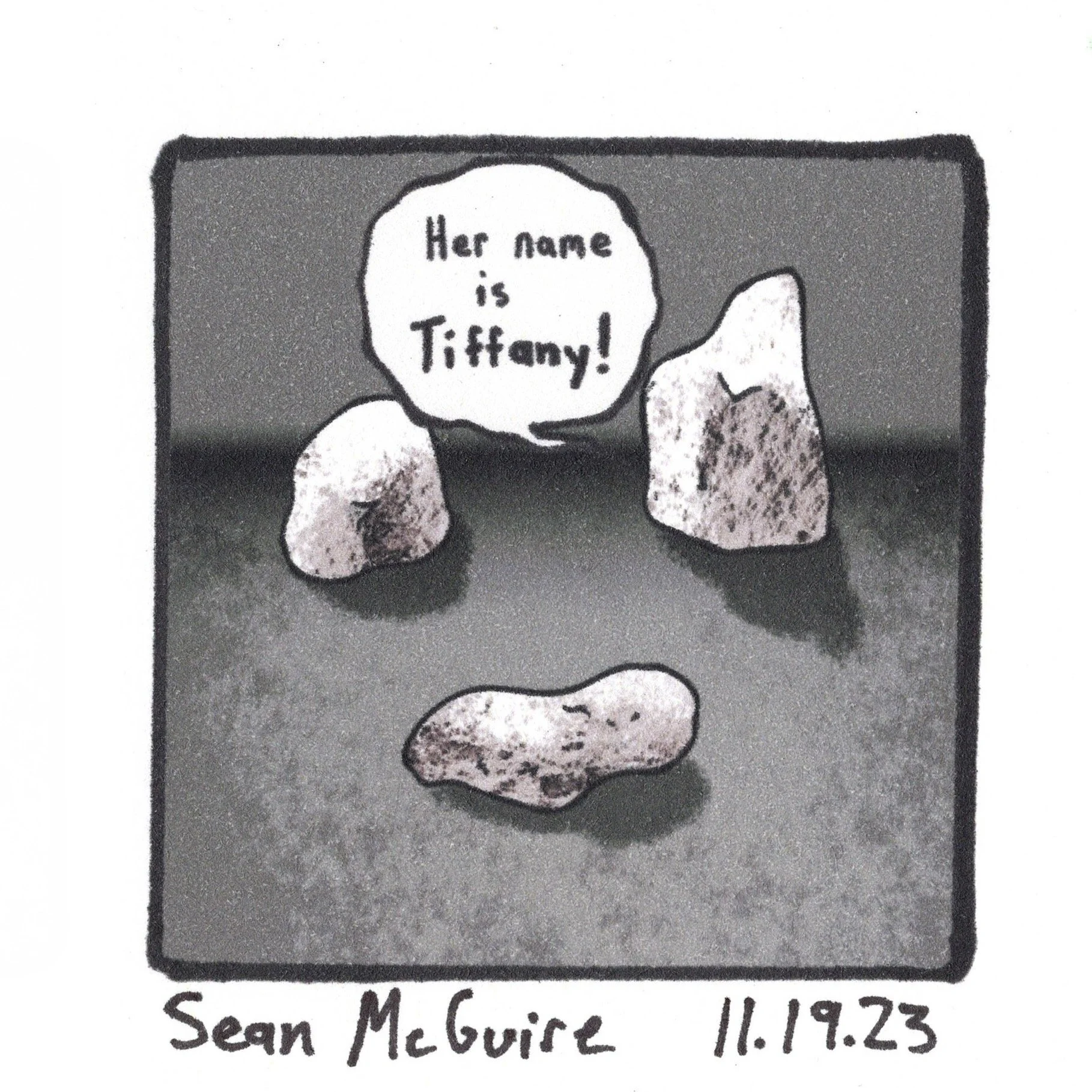 11.19.23 Plymouth Rock.jpeg