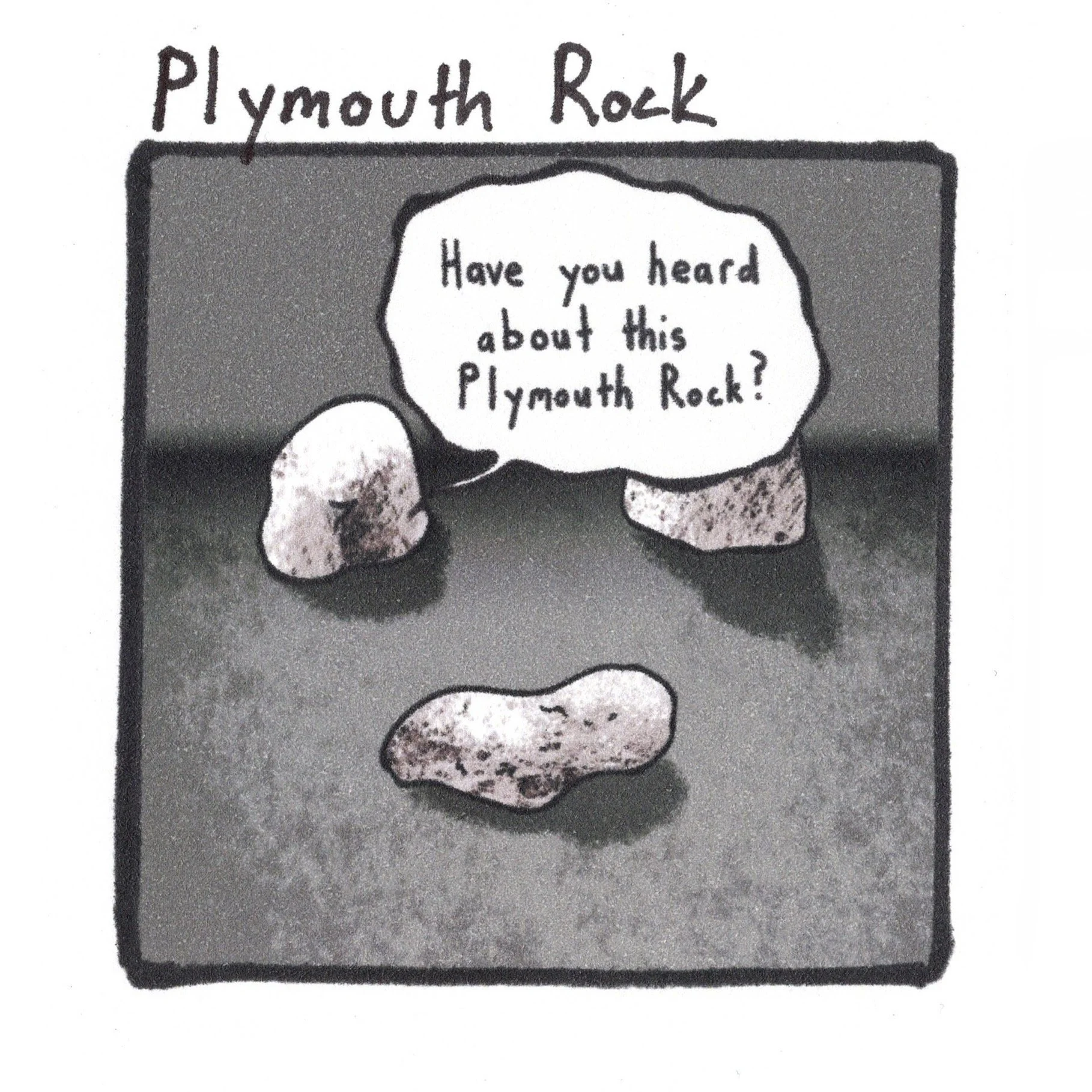 11.19.23 Plymouth Rock.jpeg