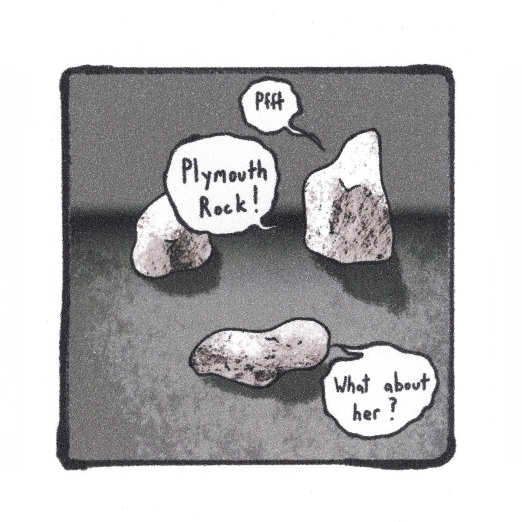 11.19.23 Plymouth Rock.jpeg