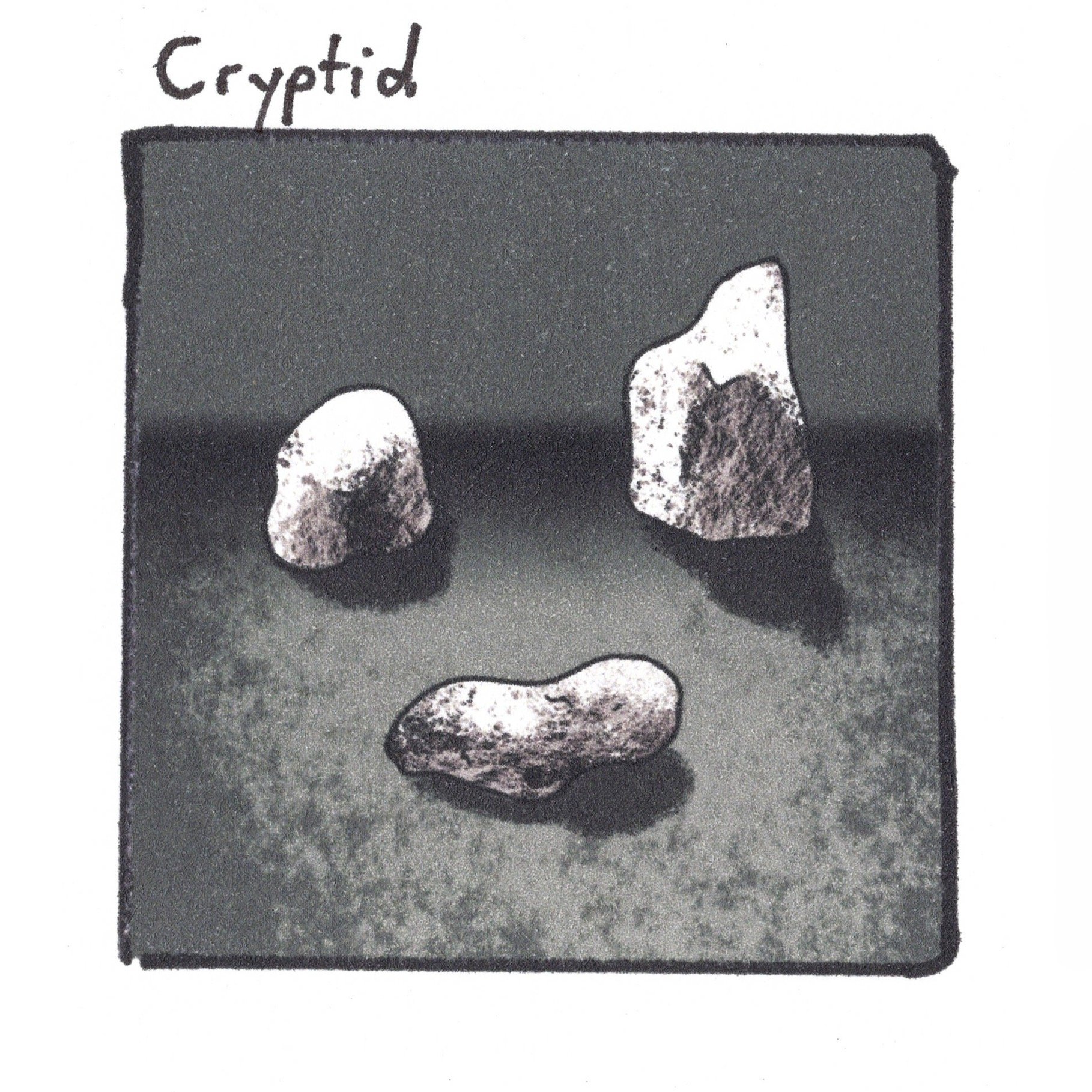 1.21.24 Cryptid.jpeg