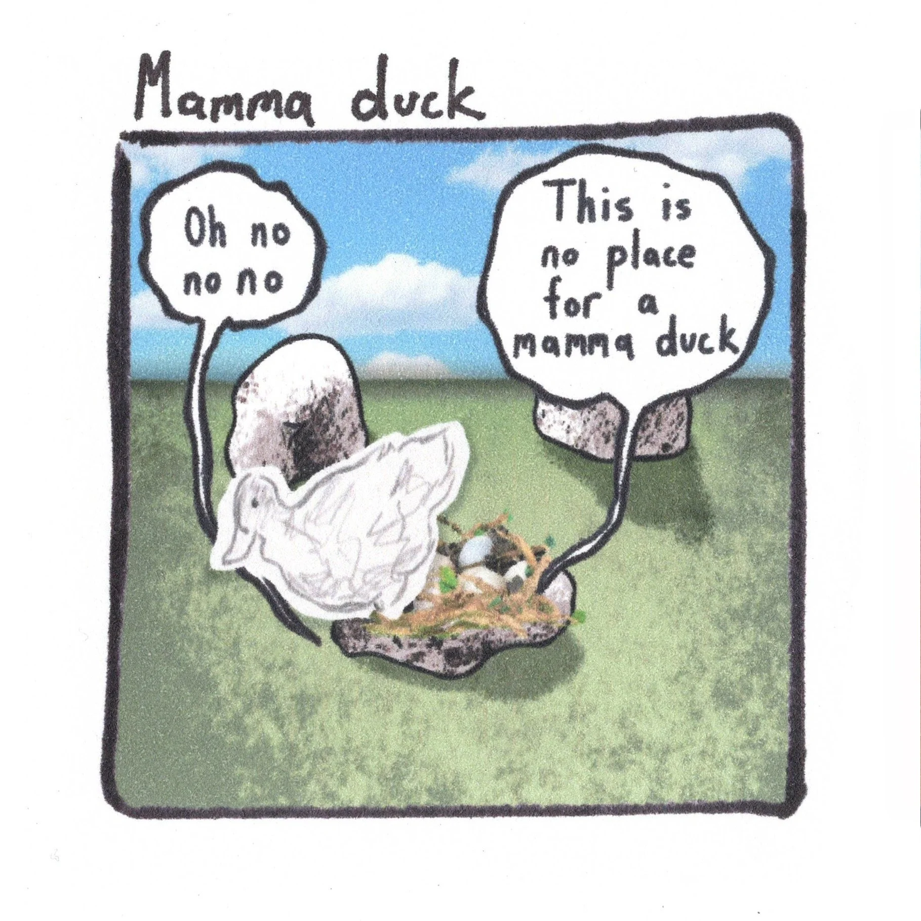 4.14.24 mamma duck.jpeg