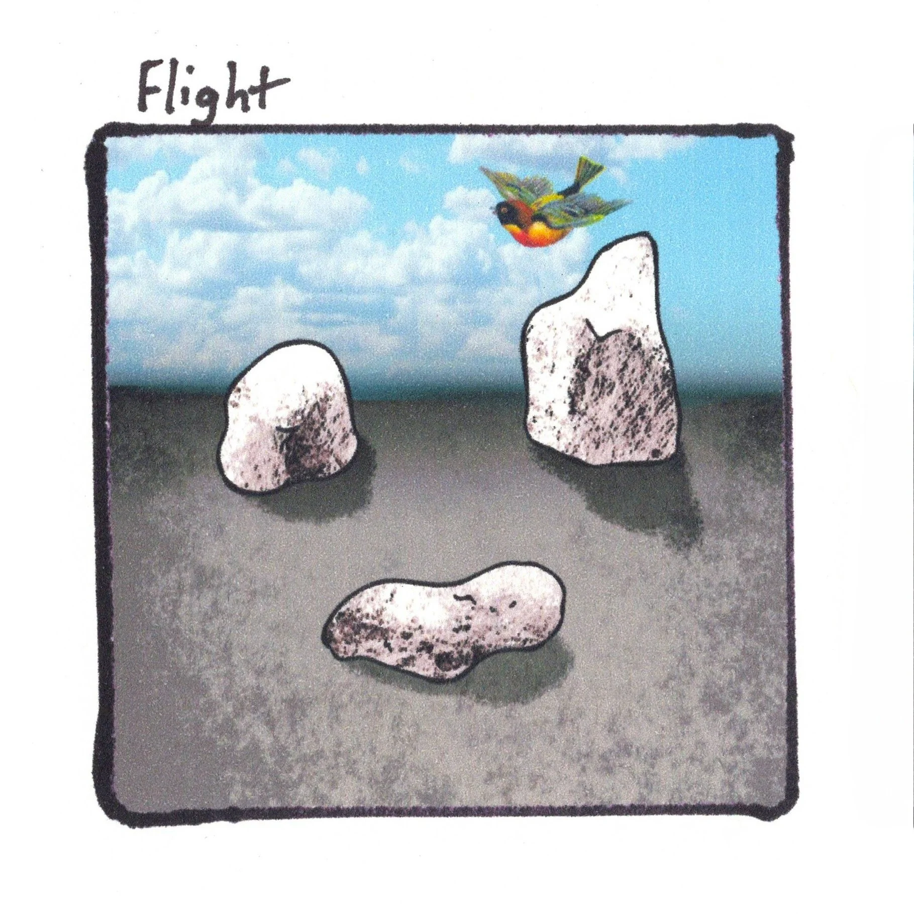 4.28.24 flight.jpeg