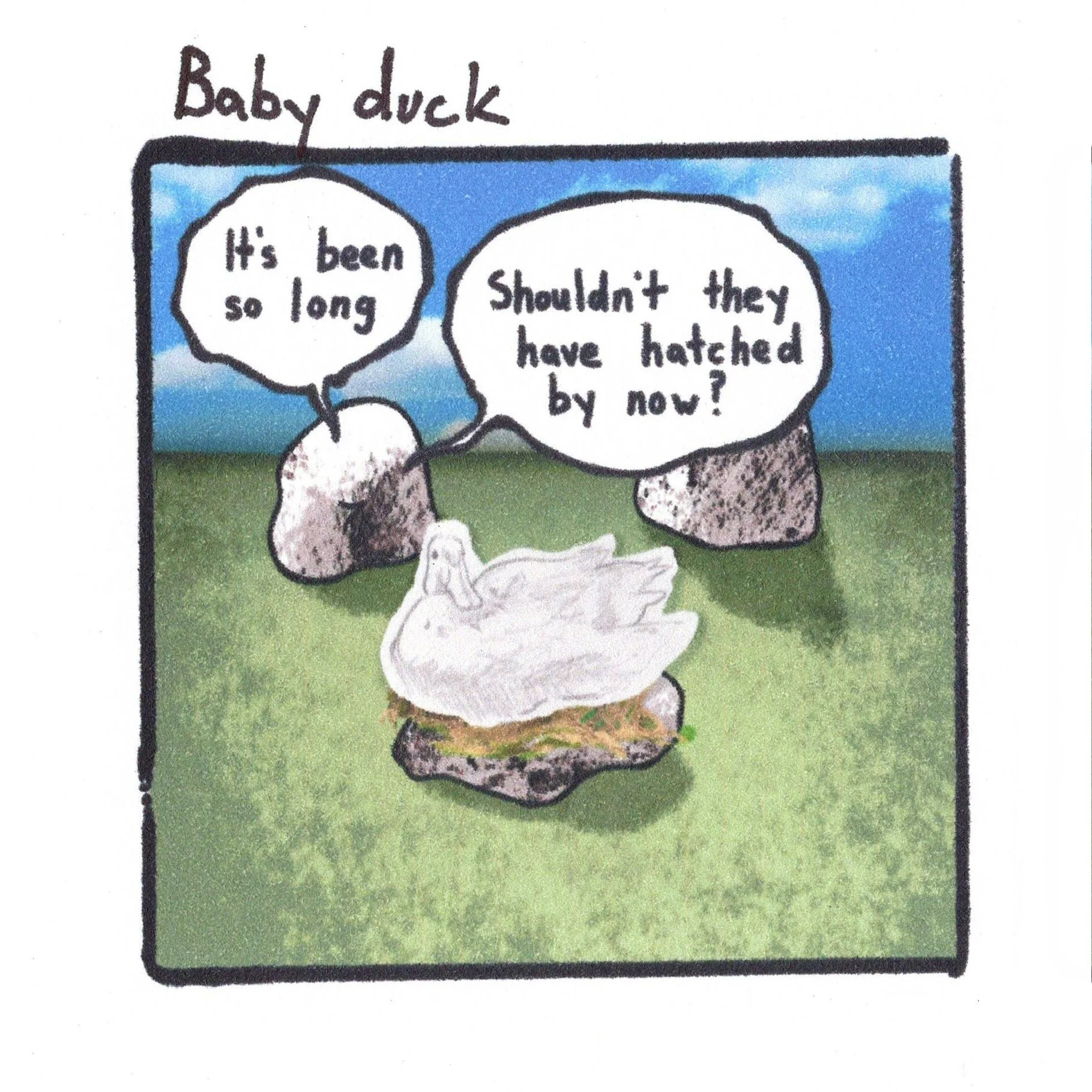 5.19.24 baby duck.jpeg