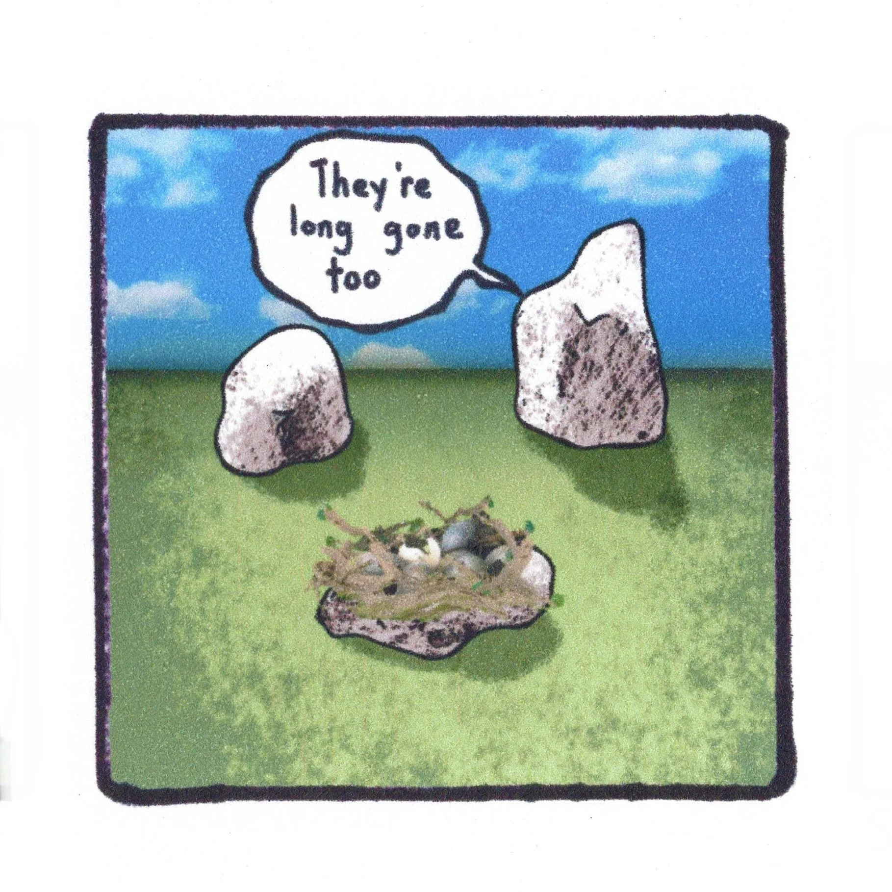 5.26.24 empty nest.jpeg