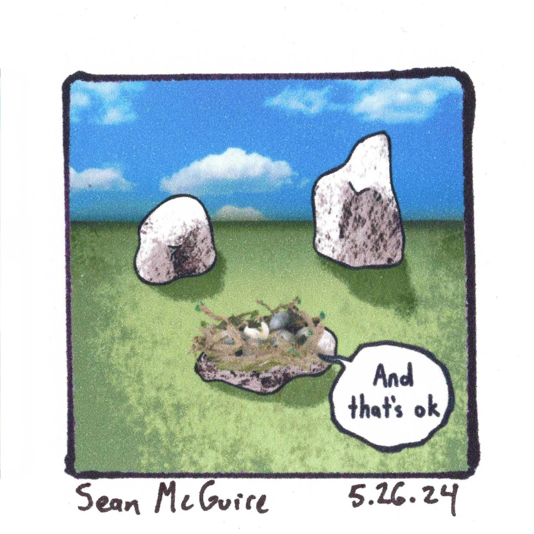 5.26.24 empty nest.jpeg