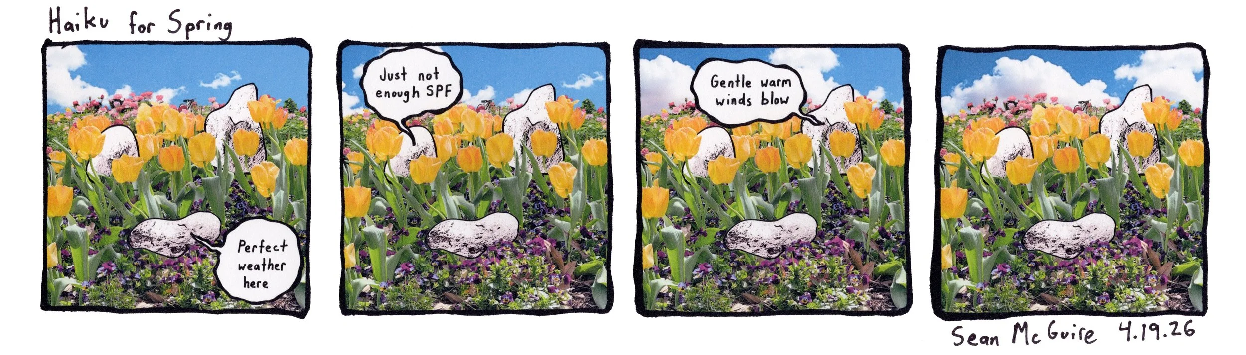 3 rocks in...| Haiku for Spring| three rocks are surrounded by beautiful flowers in a garden| yellow tulips and pink roses| Perfect weather here| Just not enough SPF | gentle warm winds blow| Sean McGuire| weekly rock comic strip