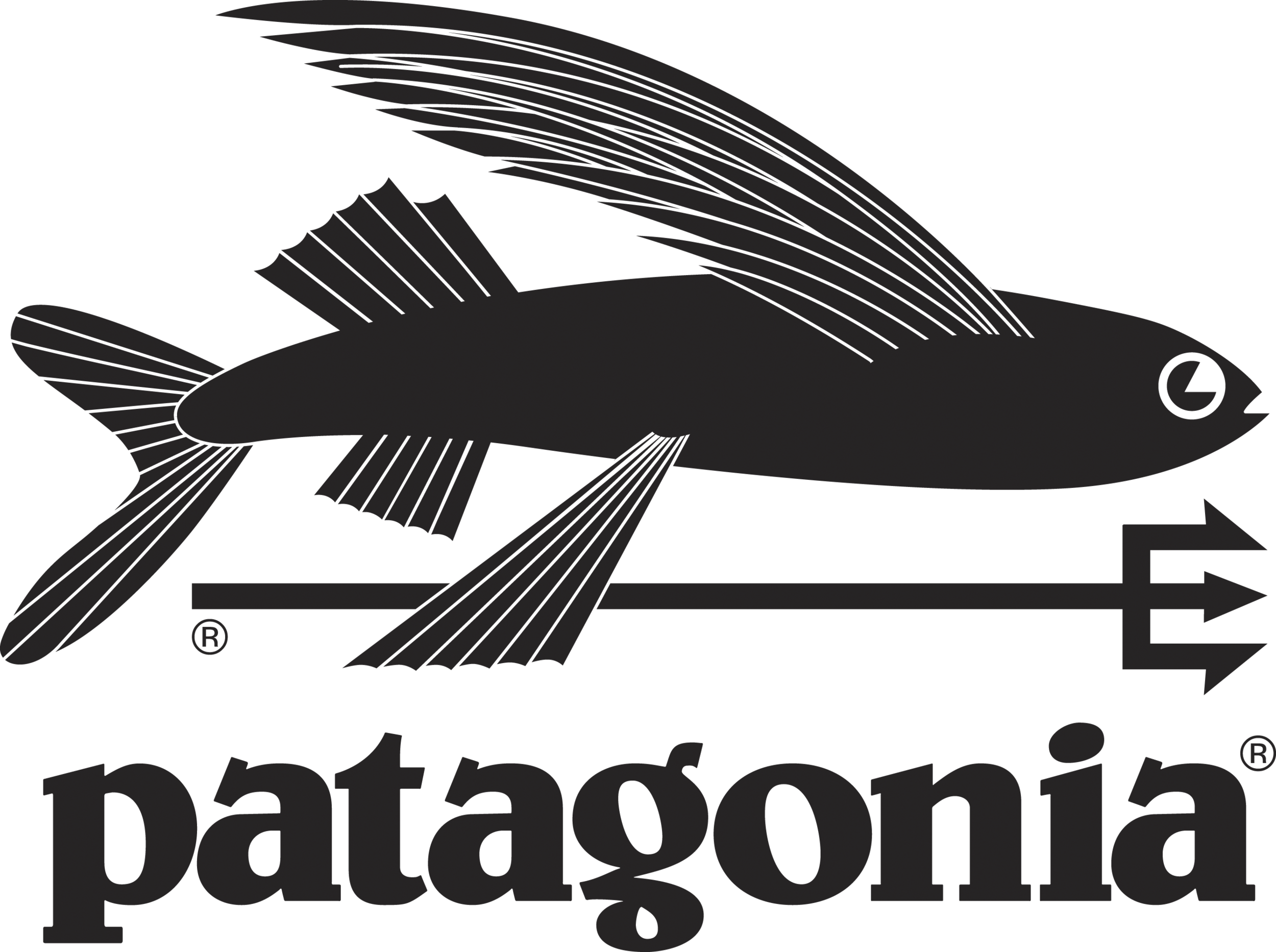 flyingfish_patagonia.png