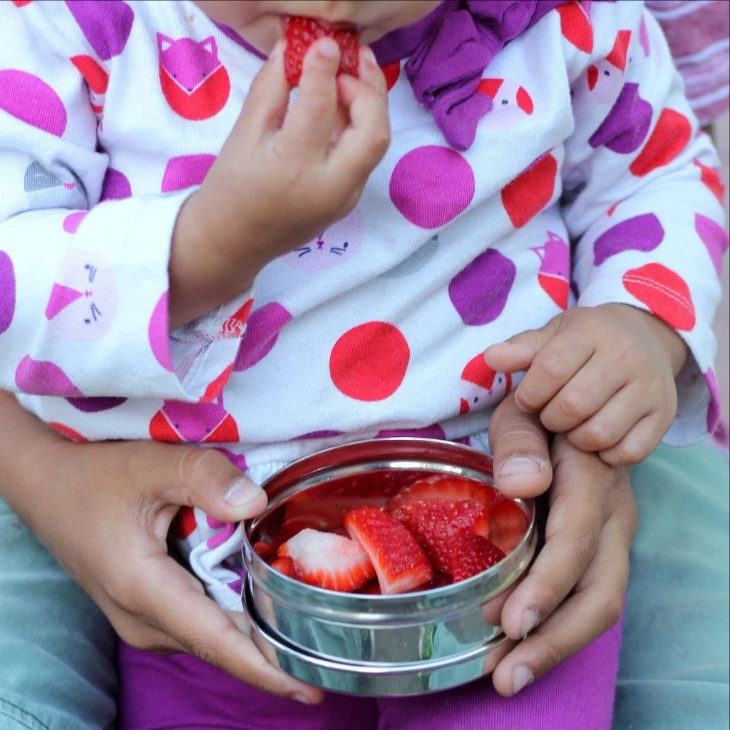 ecolunchbox-snack-containers-ecodipper-21.jpg