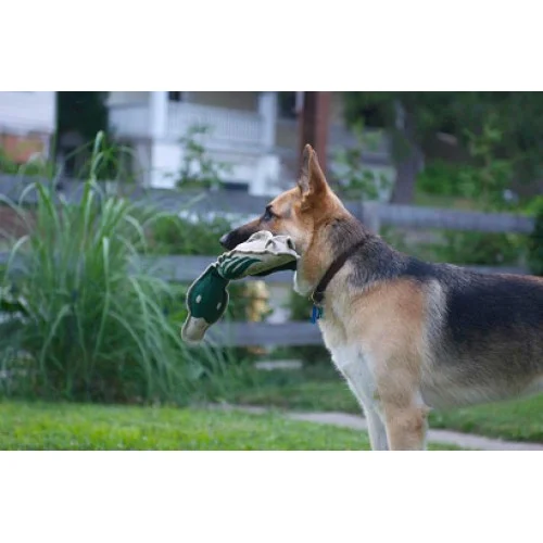 Simba-with-Eco-Quacker-3-500x500.jpg