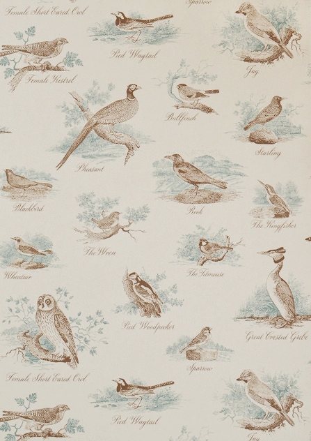 LW Bewick Birds.jpg