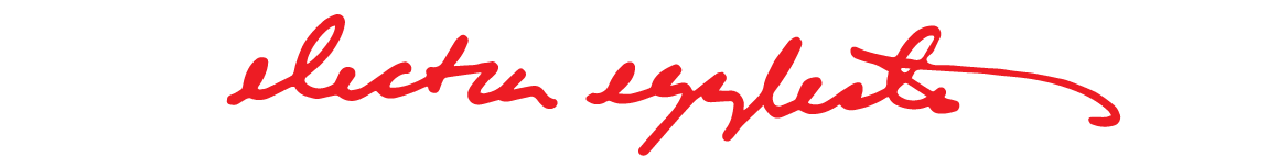 EE Logo.png