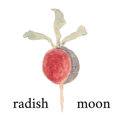 RM logo.png