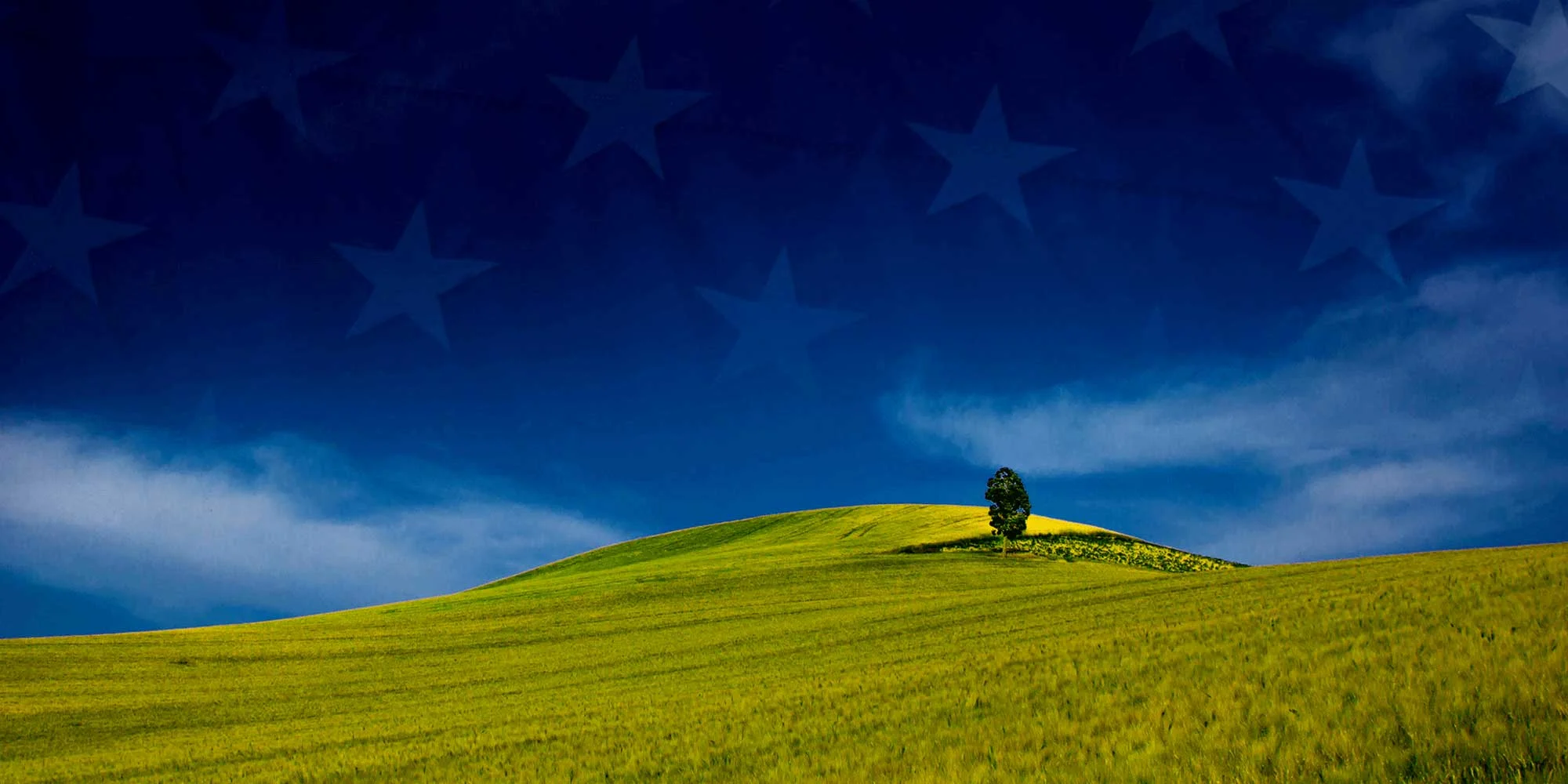 BuildBuyRefi-USDA-PurchaseHomeLoans-USDA-Streamline-4.jpg
