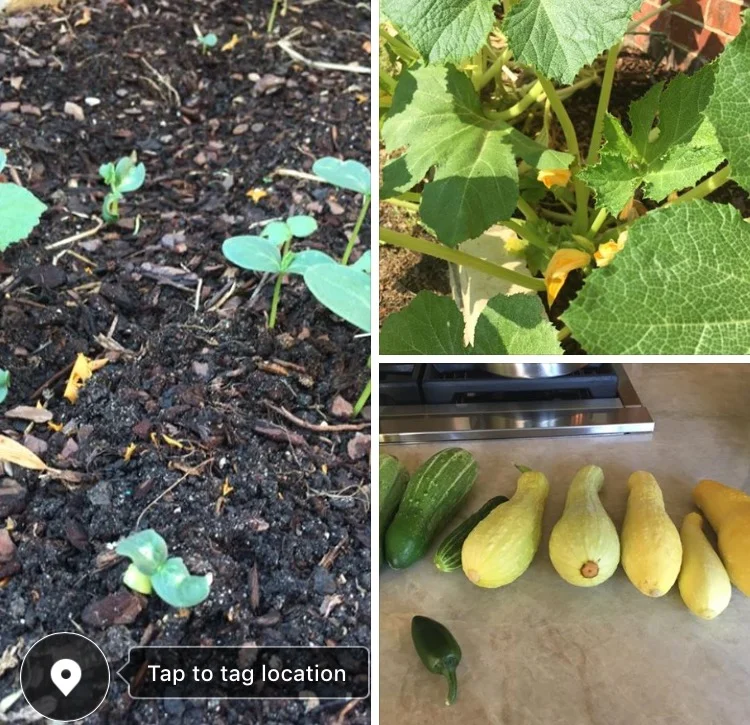 IMG_9559 (Edited).PNG