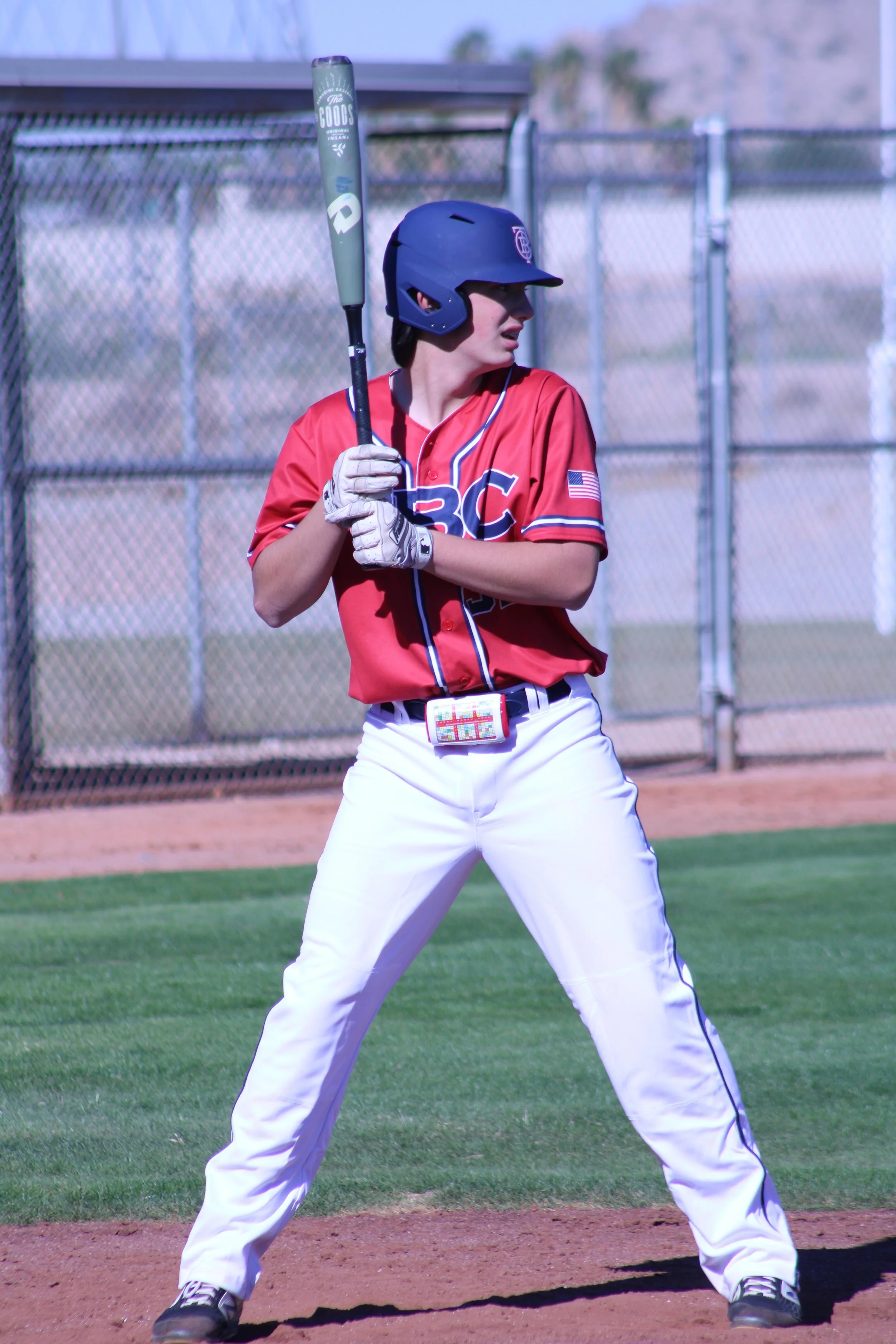 TACOMA BASEBALL FORUM visual data 2