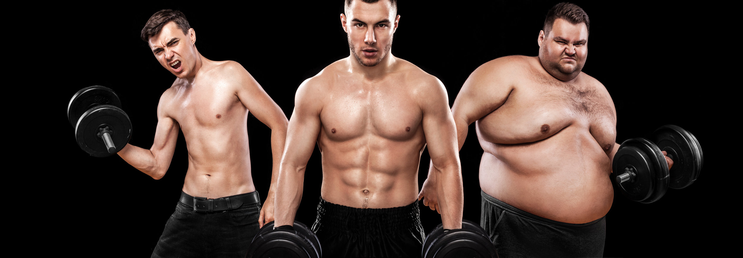 endomorph six pack