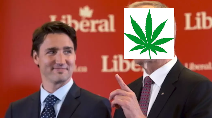 truduea and weed.png